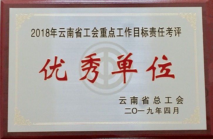 云南南宫NG28集团工会荣获 “2018年度云南省工会重点工作指标责任考评优良单元”