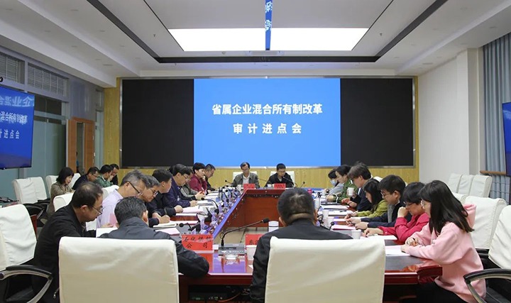 【聚焦云煤】云煤（南宫NG28）集团召开省属企业混合所有造鼎新专项审计进点会