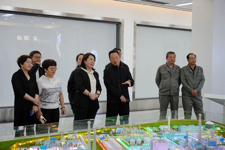 【聚焦云煤】曲靖市投促局到曲煤焦化公司调查