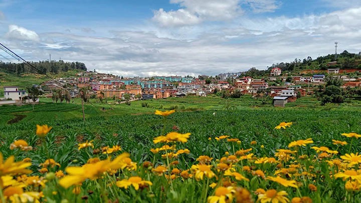 【云煤岁月】笃行不辍谋发展，砥砺奋进谱新篇——平煤故事（一）