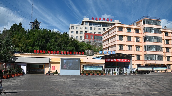 【基层党建幼隐语】强化党建引领，推动融合中心工作提质增效