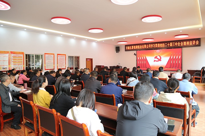 云南东源恒鼎煤业有限公司党委组织发展党的二十届三中全会宣讲活动